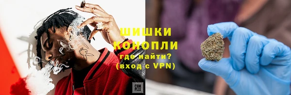 твердый Протвино