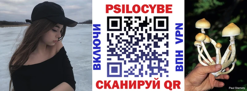 Галлюциногенные грибы GOLDEN TEACHER  Дно 
